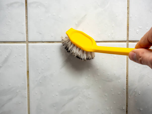 Best Mold Damage Repair  in Kaneohe, HI