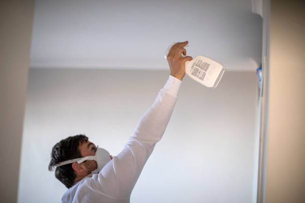 Best Mold Removal Near Me  in Kaneohe, HI