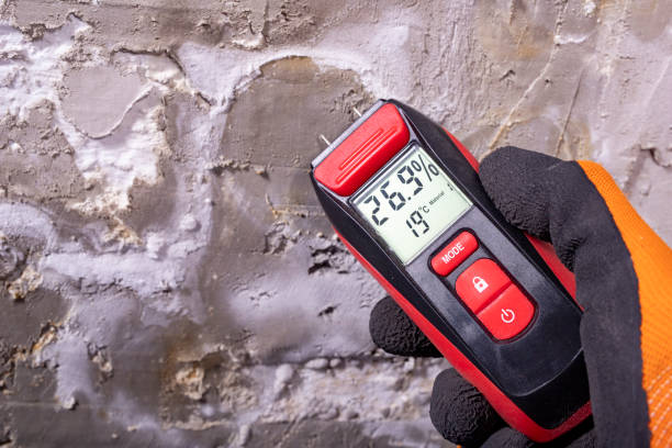 Home Mold Removal in Kaneohe, HI