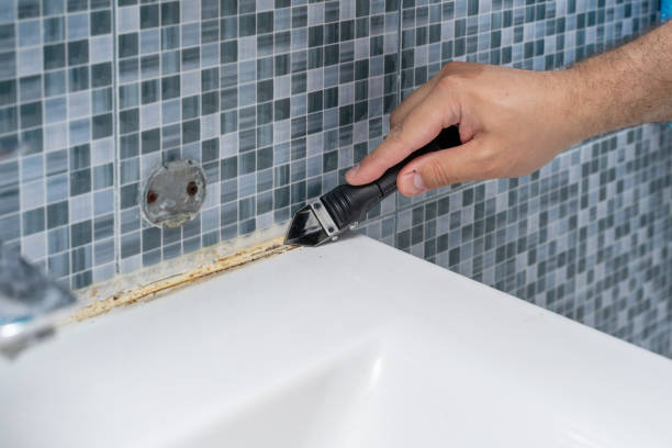 Best Best Mold Removal Companies  in Kaneohe, HI